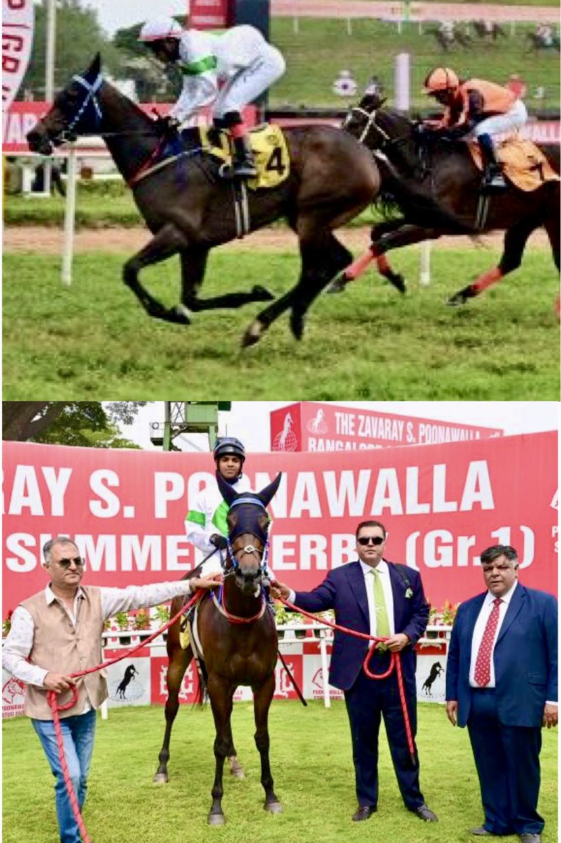 Flight Of Fancy (Win Legend-Windunderherwings by Valid Concept) a 10th juvenile winner for her sire in 2024-25 and a 25th individual Dashmesh bred juvenile winner in 2024-25