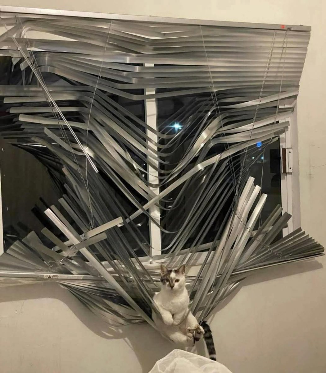El arte presentado por el propio artista.