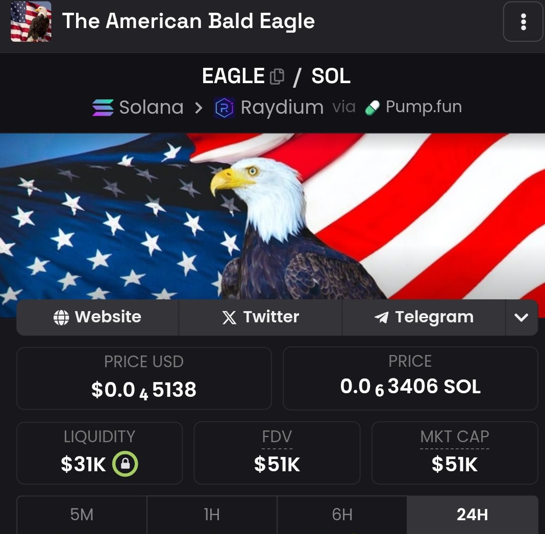 AMERICAN BALD EAGLE 🦅🇺🇸 tweet media
