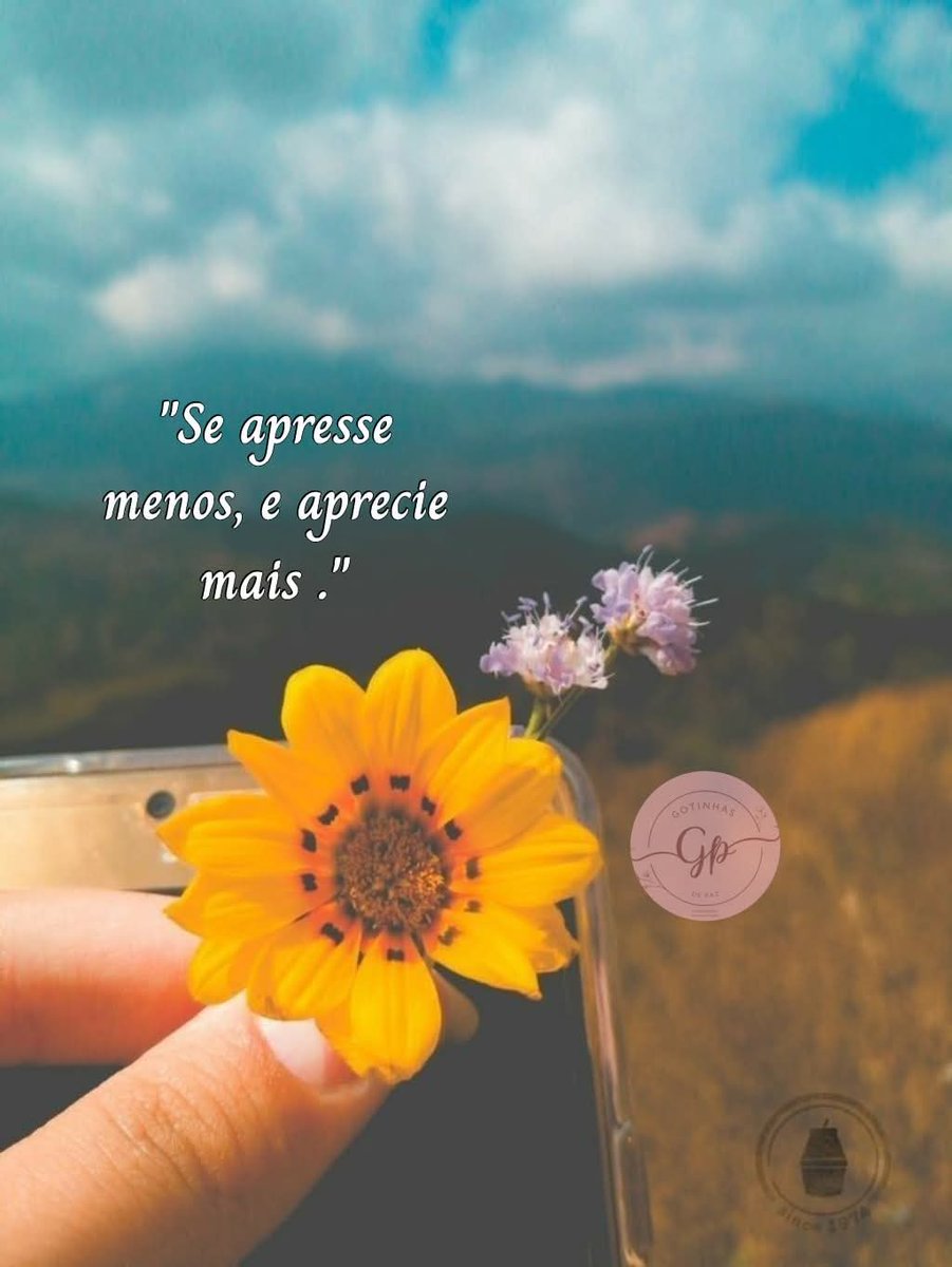 Marcia Ol🚩 tweet media