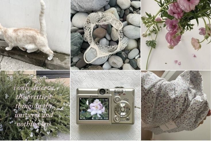 ⋆˚꩜｡🗯🍡 tweet media