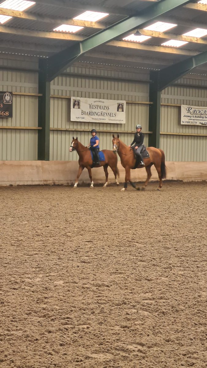 hazel_irving's tweet photo. My big girl and boy! Today we took him out, his pal Teddy came along as well. He was very well behaved.  My nerves where shattered but a huge tick in the box ✅️ #gingersdayout https://t.co/F1wIAm4sWT