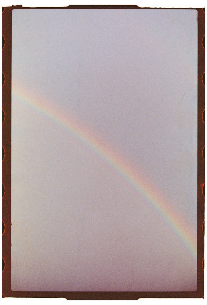 🌹🌈 #filmphotography