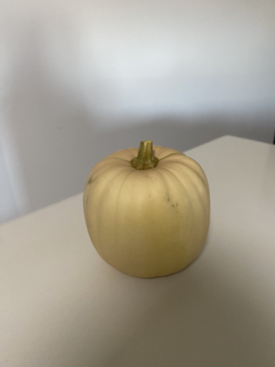 אמא מנסה לעודד אותי בתקופת מבחנים: ״רק ראיתי את זה ראיתי אותך, הייתי חייבת להביא לך״