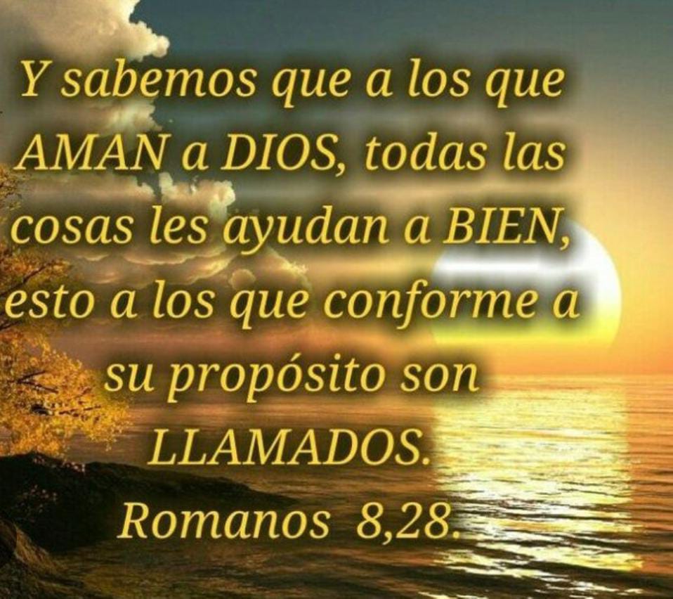 RosalbaJimenezR's tweet photo. https://t.co/3Gtl4zzLuO