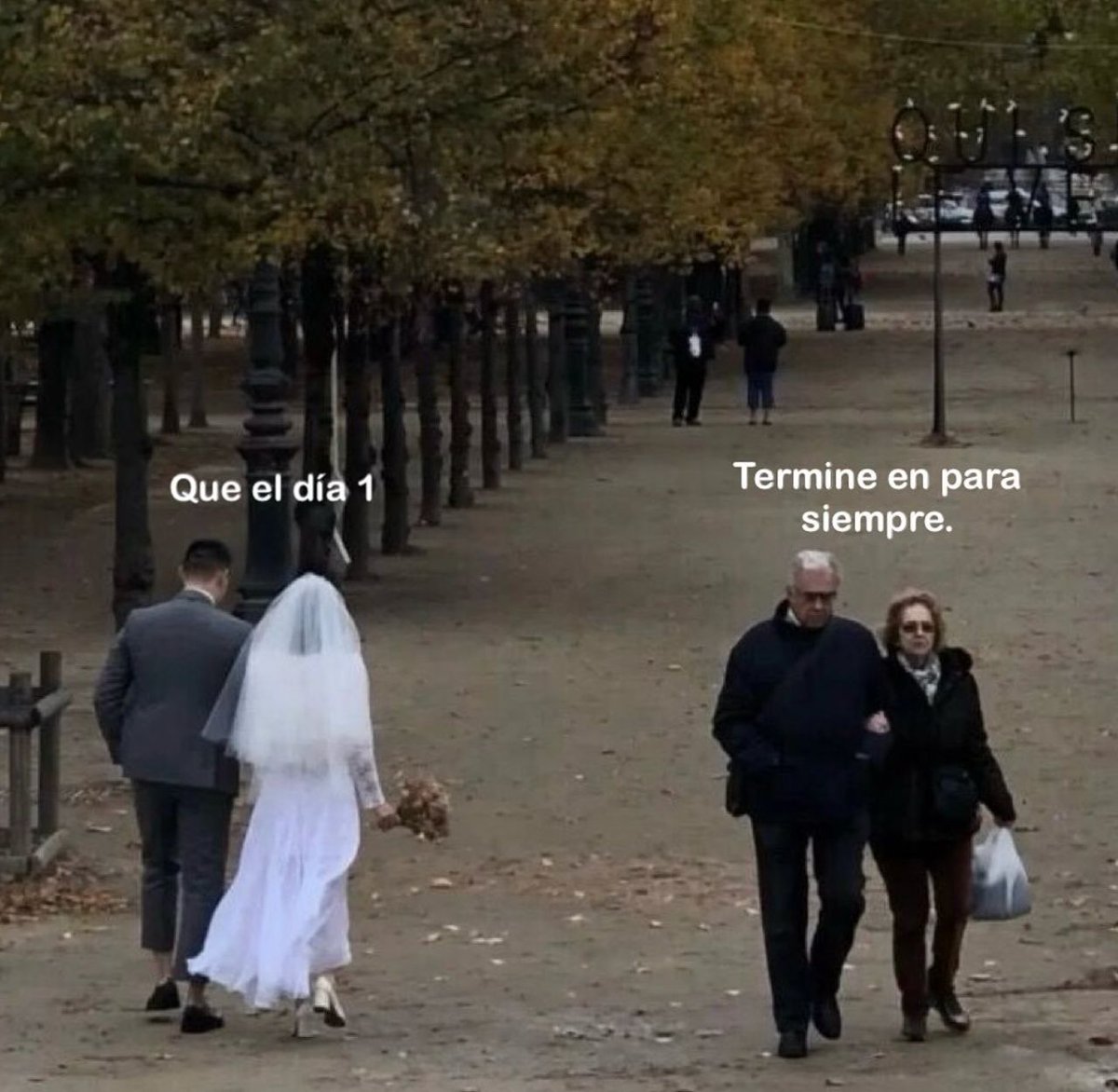 vibes (@vibesfyp) on Twitter photo 