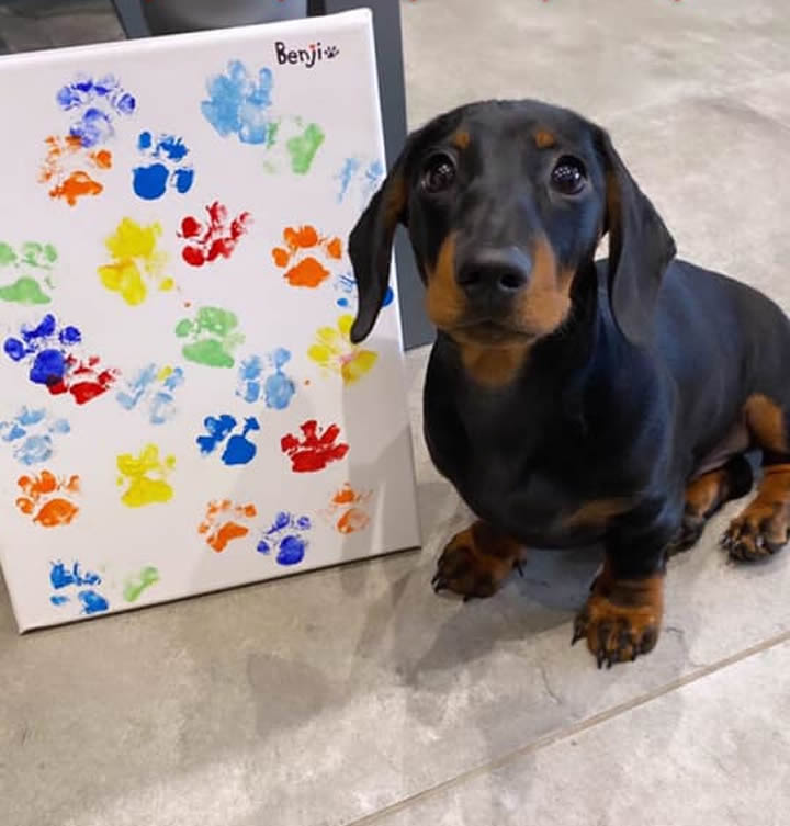 Ele é artista ❤️