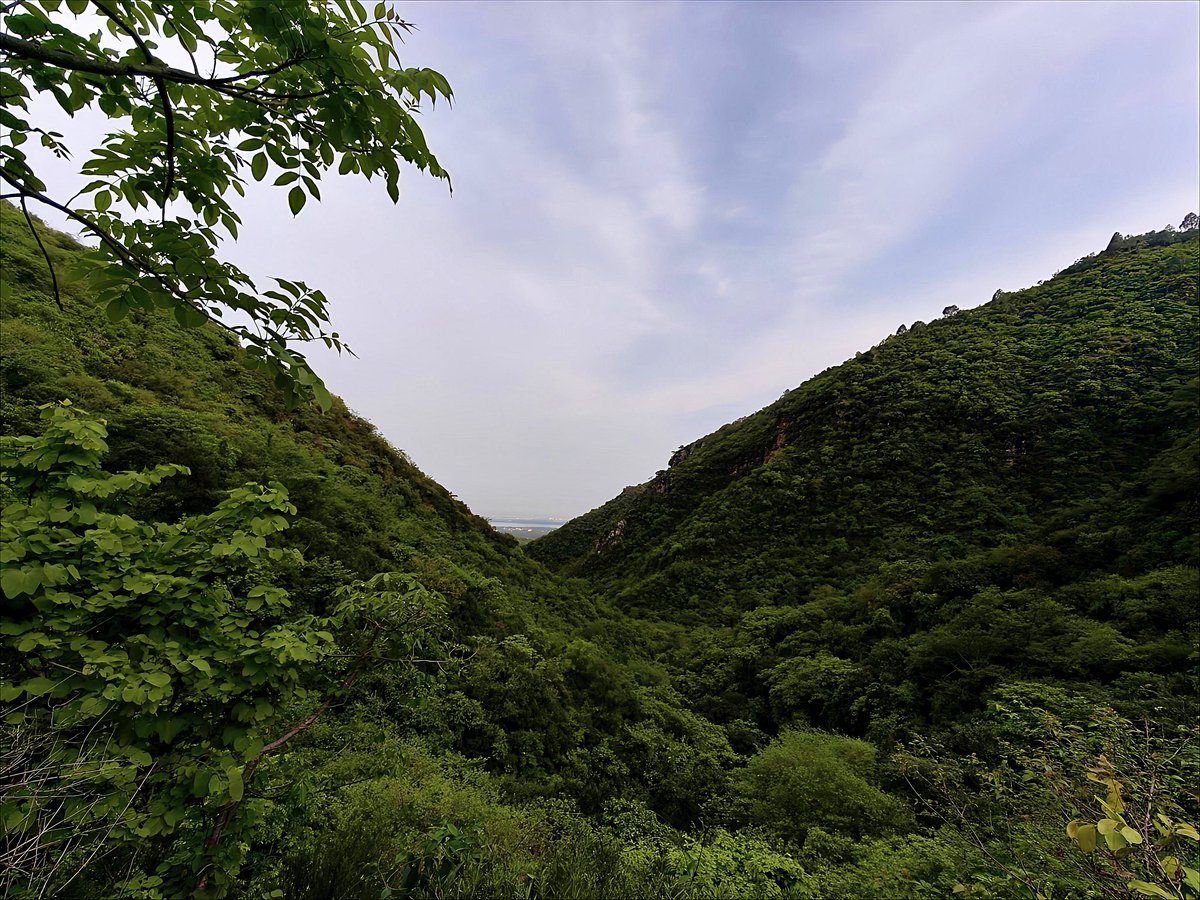 mnouman_ahsan's tweet image. Took a hike today + picked up trash along the trail. 🌿
Doing my part for the greater good. 💚 
@WildlifeBoard @Islamabadies

#SaveMHNP #FoMHNP #GreenActionForum #CleanUpHike #NatureLover #EcoFriendly #LeaveNoTrace