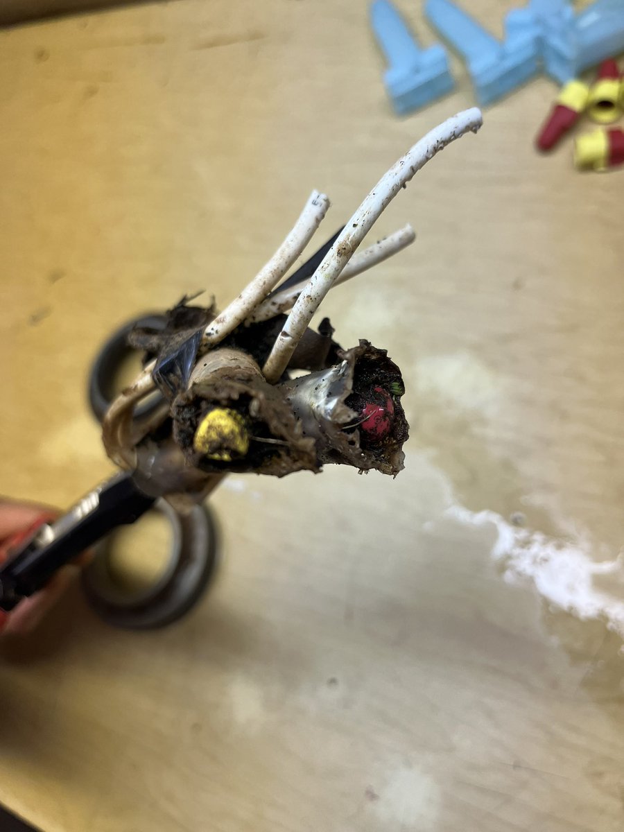 I’ve only been in the industry for a few years now, but I’ve never seen this before. The valve box was filled with earwigs and before they showed up the gel packs were fine but now they are both wrecked. Not sure if it was the earwigs or what?