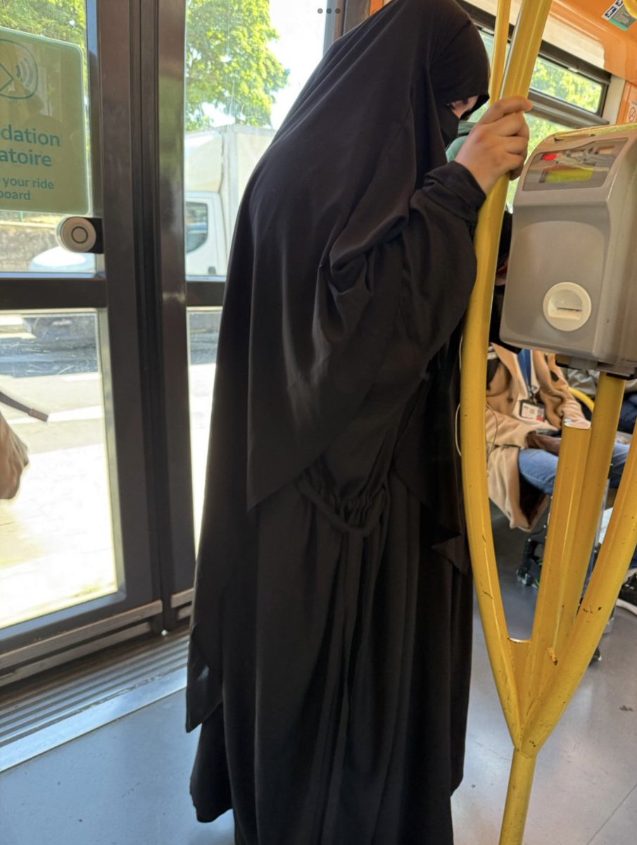 Wolf 🐺 tweet media