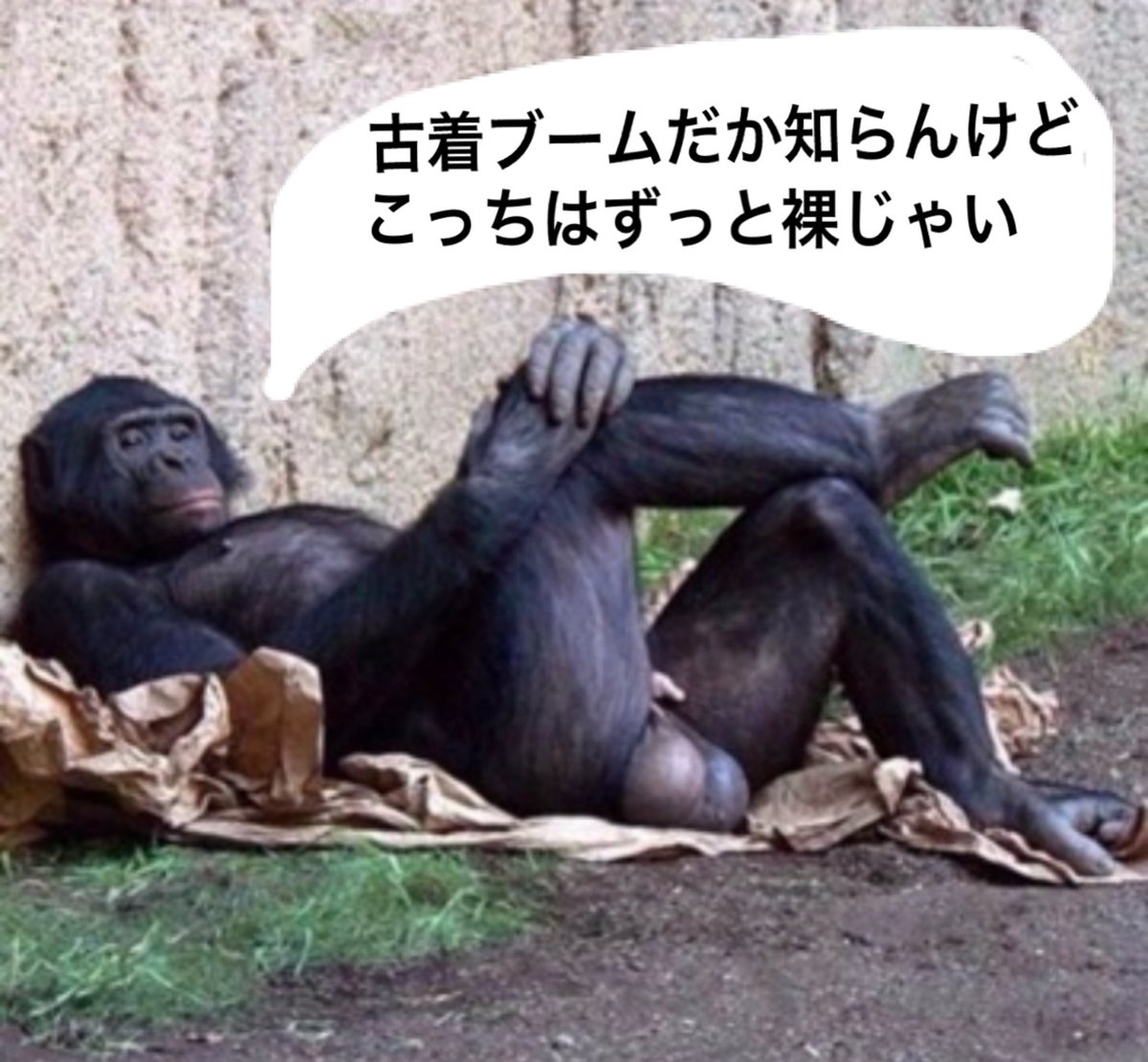 ken kagami (@kenkenkagami) on Twitter photo 