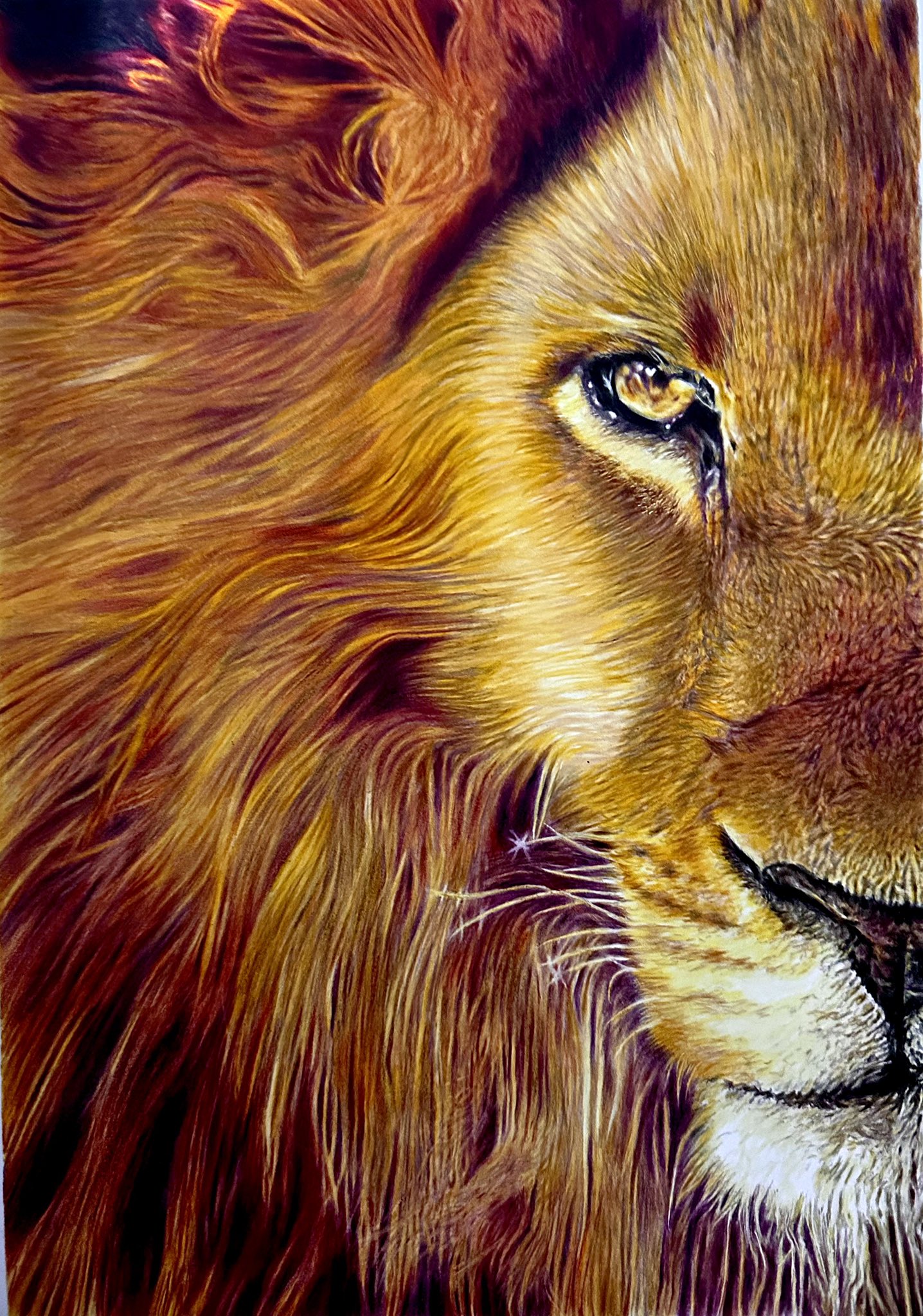 Nao 色鉛筆画 (@yGkzjAwFqobUoVp) / X