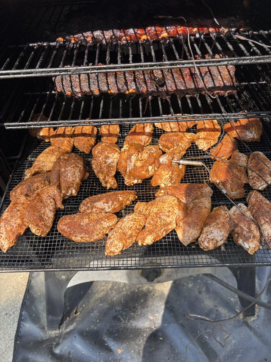 Wings have joined the party
🐔🪽💨