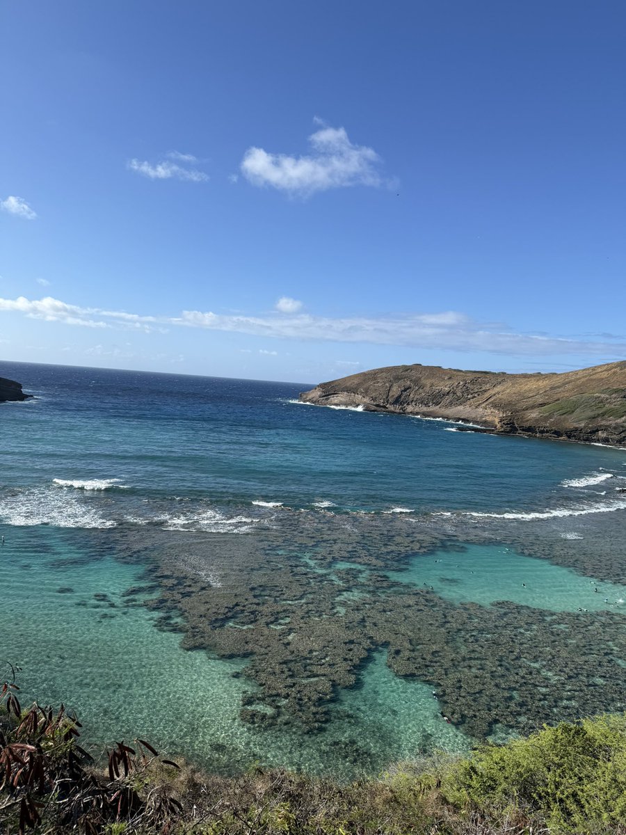 Today was one of those days.
We woke up at 4 AM ⏰

Grabbed Denny’s to-go 🥓🥤

And drove 45 minutes to Hanauma Bay 🐠

Because anyone who’s been there knows…

✅ You have to book tickets 48 hours in advance

✅ Reservations open at 7am HST and sell out in minutes

✅ Even