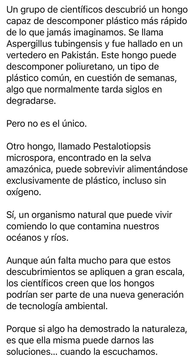 GONZALOYESCASF's tweet photo. Muy importante… ☝🏼 https://t.co/4z9B4IDjMM