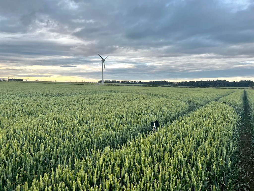 Balmonth Farm tweet media