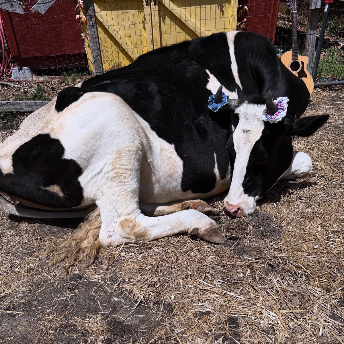 Jenna, redefining sleeping beauty ♥️