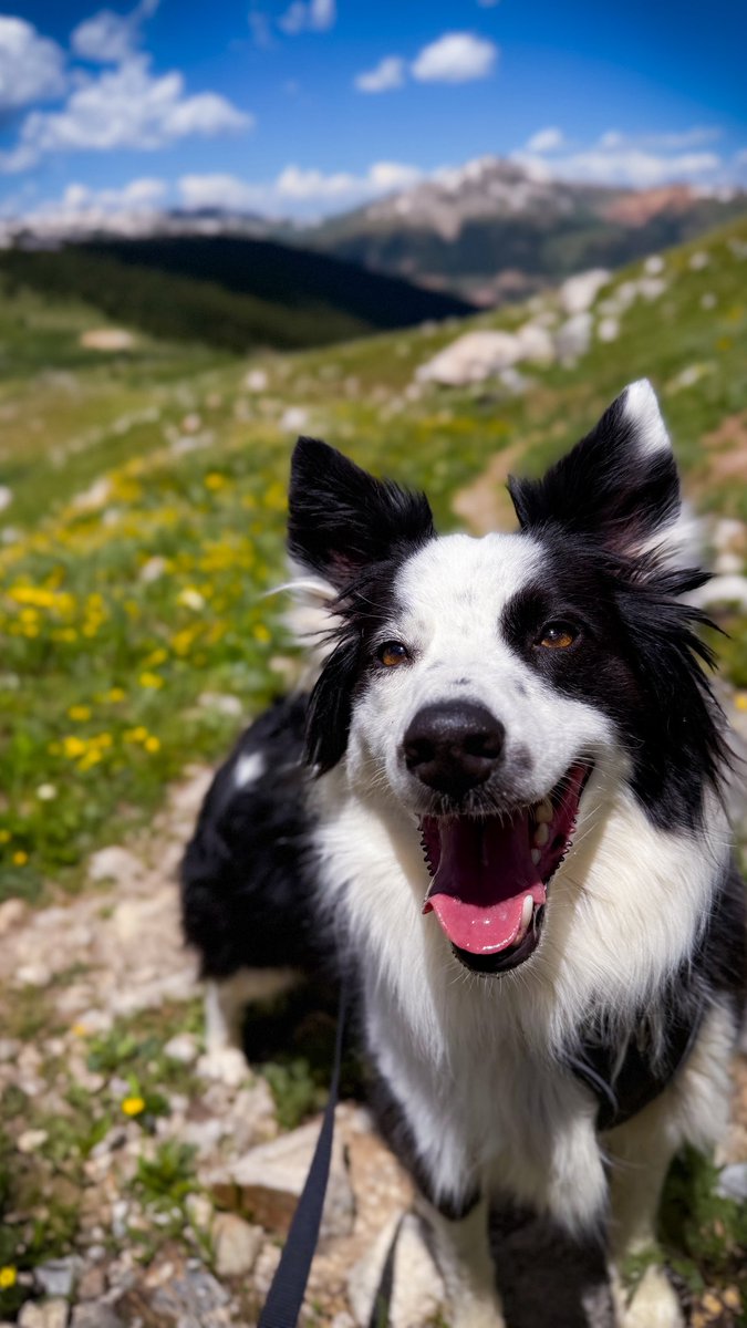 Don’t scroll without telling Calvin happy bday