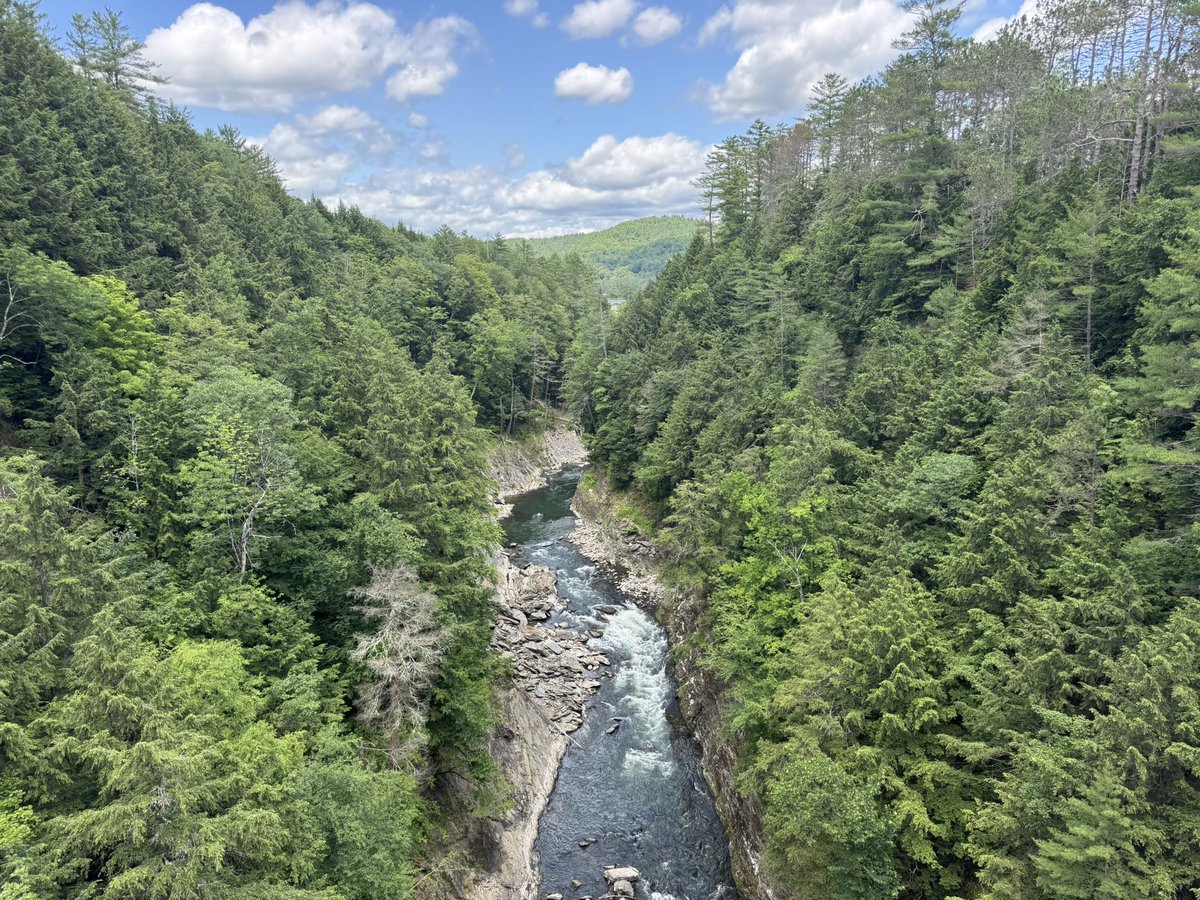 DrBrucePereira's tweet image. What a view of Quechee Gorge from the Quechee Bridge; a historical landmark. Known as ‘Vermont's Little Grand Canyon’. The bridge is under construction but you can still walk over one side and visit the state park. 

#vermont #quechee #quecheegorge #stateparks