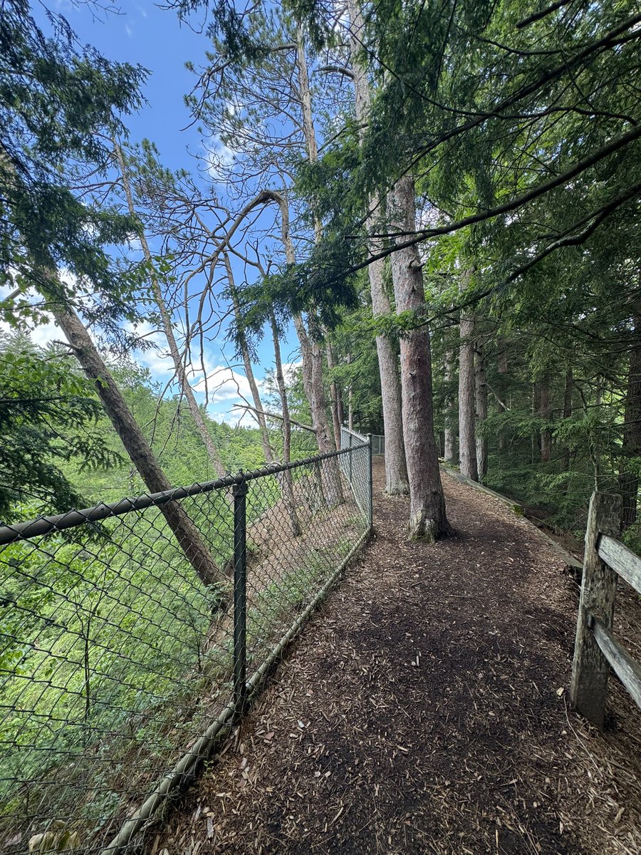 DrBrucePereira's tweet image. What a view of Quechee Gorge from the Quechee Bridge; a historical landmark. Known as ‘Vermont's Little Grand Canyon’. The bridge is under construction but you can still walk over one side and visit the state park. 

#vermont #quechee #quecheegorge #stateparks