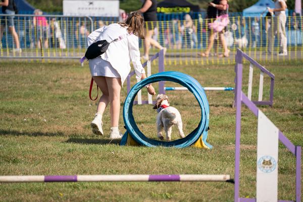 The Good Dog Guide (@thegooddogguide) on Twitter photo Plan a weekend of #dogfriendly #familyfriendly fun at <a href="/PawsinthePark1/">PawsinthePark Dogs</a> Kent 20-21 Sept 2025. Book tickets now! bit.ly/cvt2Jky4 Plan a weekend of #dogfriendly #familyfriendly fun at <a href="/PawsinthePark1/">PawsinthePark Dogs</a> Kent 20-21 Sept 2025. Book tickets now! bit.ly/cvt2Jky4