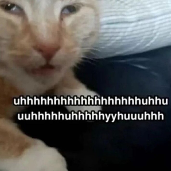 Doodle | @Doodledankk.bsky.social tweet media