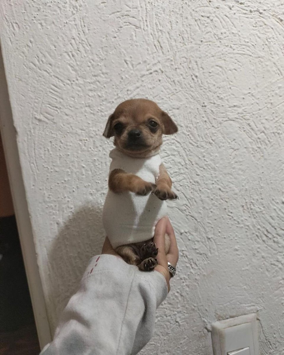 twaniimals's tweet photo. https://t.co/oPd1MmghYr
