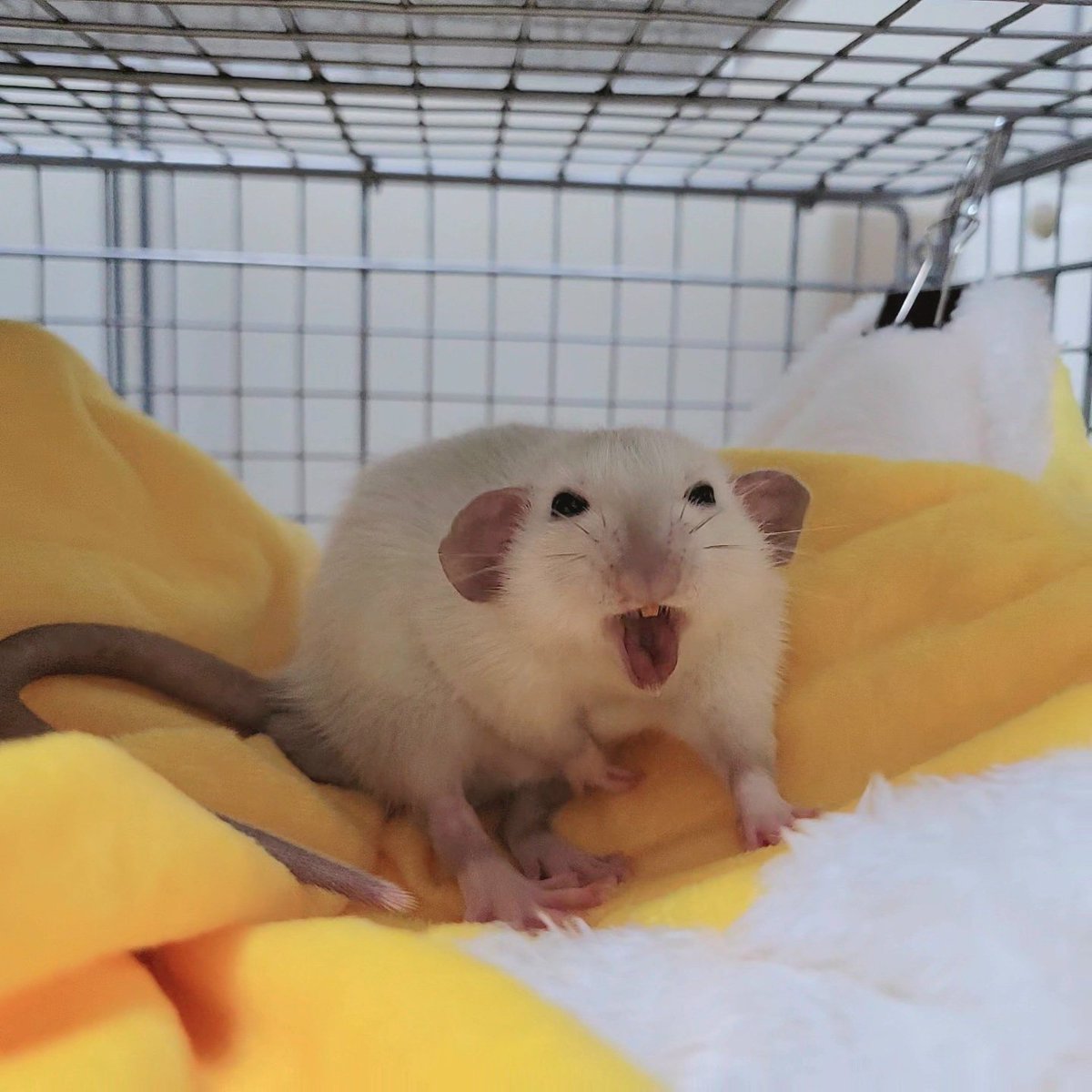 $16,000, buh... geez