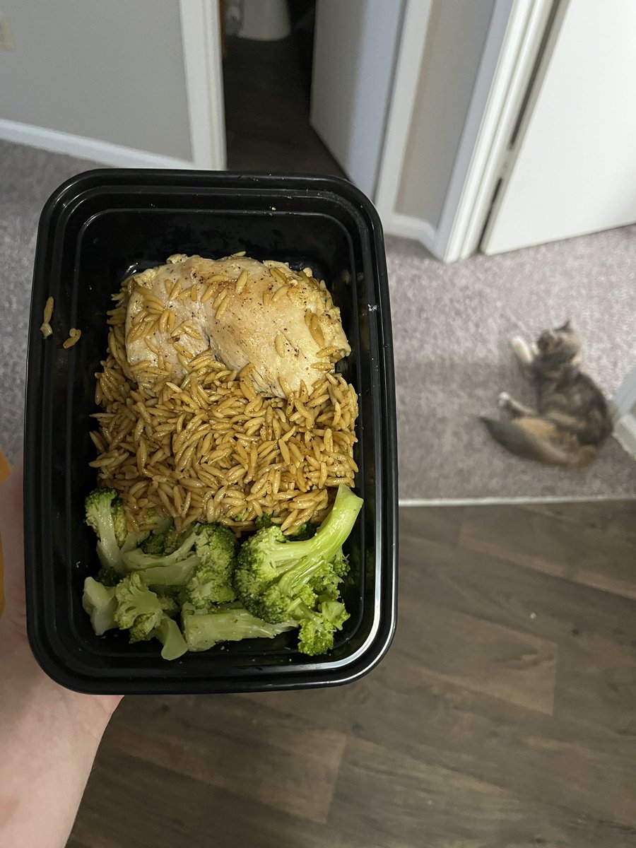 Lemon Pepper Chicken w/ Broccoli and Orzo for meal prep :D

Also been feeling like an actual adult recently because I’ve figured out how to properly keep a stocked freezer 😎