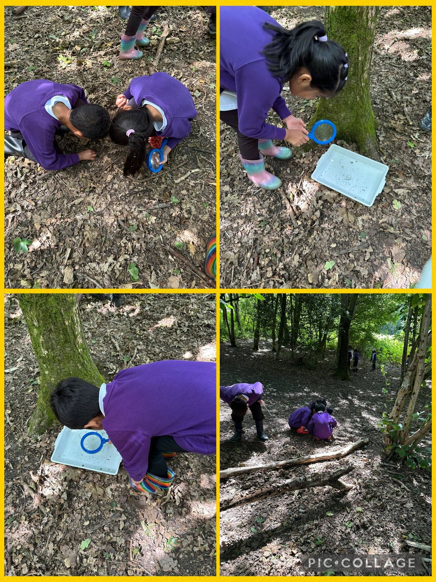 olive_bolton's tweet photo. A day in the great outdoors #SevenAcres #WildlifeTrust #Year2 #Adventures #OutdoorLearning #OutdoorFun #Memories #HappyDays #Wellbeing #Teamwork #Ambition #Respect #PondDipping #WeAreStar https://t.co/CGvsnu2doH