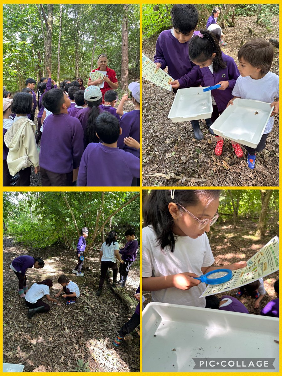 olive_bolton's tweet photo. A day in the great outdoors #SevenAcres #WildlifeTrust #Year2 #Adventures #OutdoorLearning #OutdoorFun #Memories #HappyDays #Wellbeing #Teamwork #Ambition #Respect #PondDipping #WeAreStar https://t.co/CGvsnu2doH