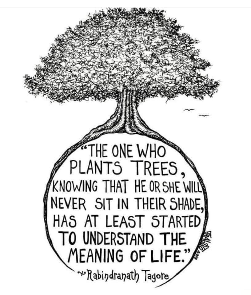 In #gratitude to all who participate in #science to cure diseases, heal our planet, and better understand the universe.

(image: <a href="/BookChat_/">#BookLovers 📚</a>) #quote
