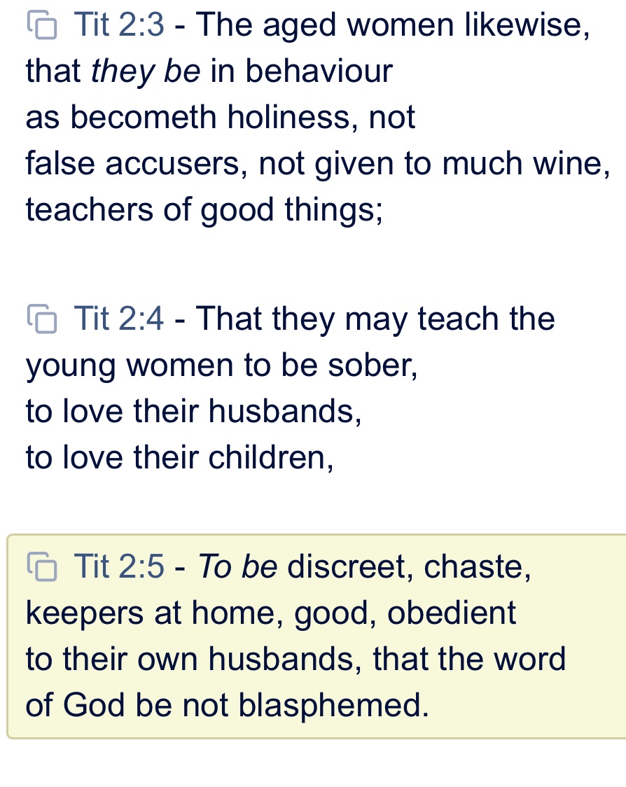 AGKoehnB's tweet image. Doctrine matters to housewives. Without it, they lose their foundation to do what they are doing. When you tell a woman she has no right to critique a messenger, you've revoked II John.