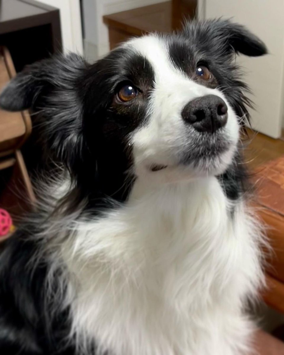 Quédate con quien te mire así...