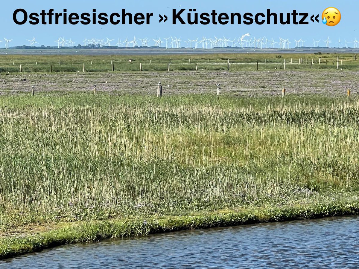 EinAnderer21's tweet photo. @A_PoppOffiziell Wenn man auf den ostfriesischen Inseln Urlaub macht, begegnet einem der #Windwahn, dieses fürchterliche Ergebnis von Dummheit, Korruption, Empathielosigkeit und Nach-mir-die-Sintflut-Gleichgültigkeit, auch wieder auf Schritt und Tritt. https://t.co/2RSp3LCK3K