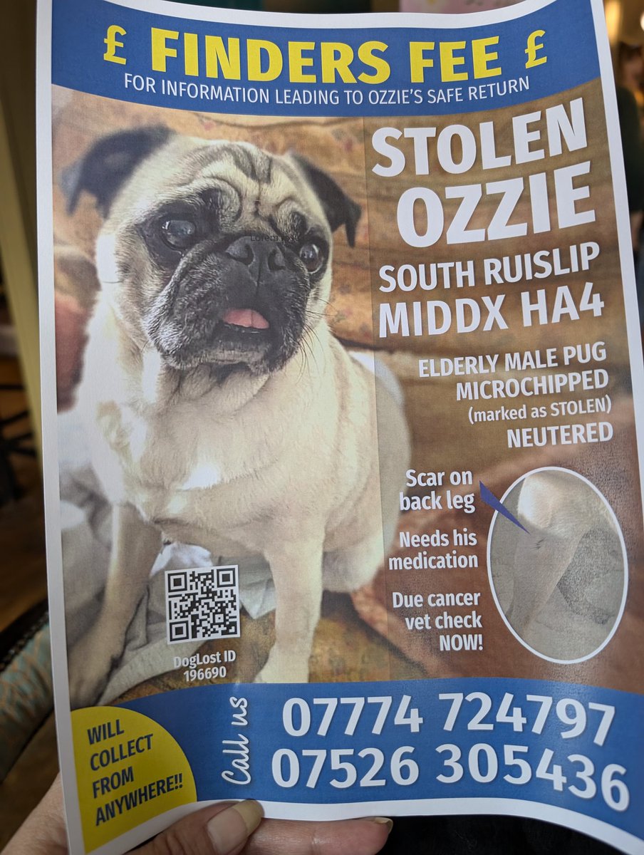 This gorgeous pug was stolen. He needs his meds as he has cancer. Please share far and wide
<a href="/DreyfusJames/">James Dreyfus</a> <a href="/rickygervais/">Ricky Gervais</a>