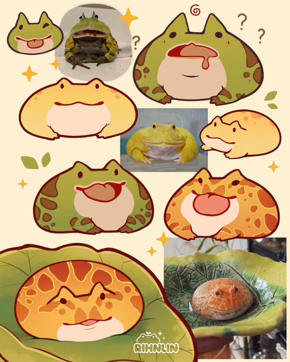 rihnlin's tweet photo. Pacman frogs 💚 https://t.co/8BIKs7ySs4