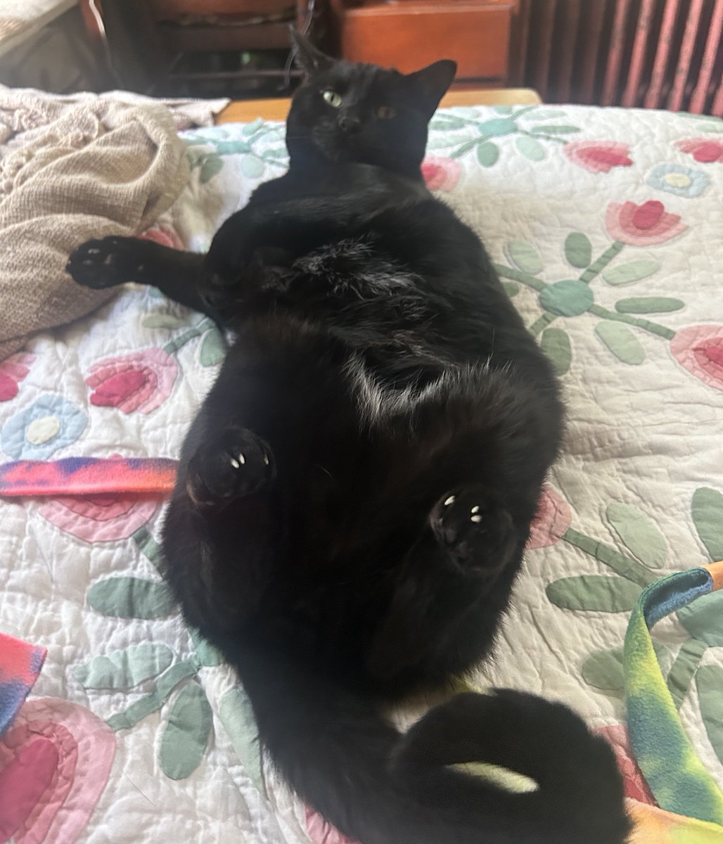 dale cooper tweet media