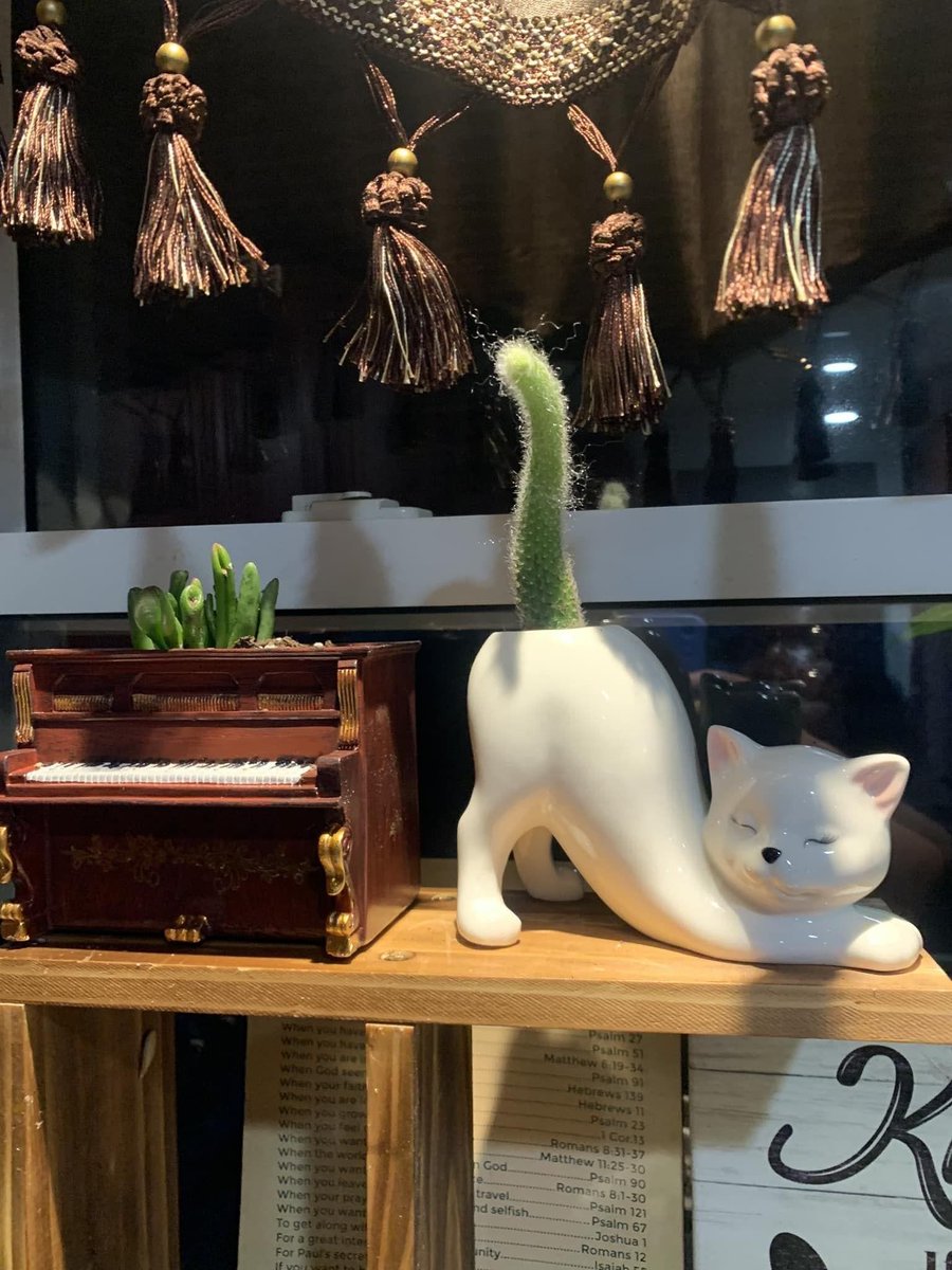 interiorstellar (@interiorstellar) on Twitter photo 