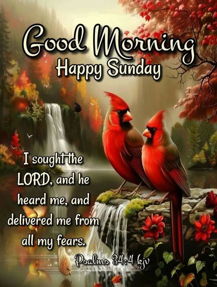 Good day to each one!
Praise the LORD, for He hears our prayers and delivers us from all our fears!