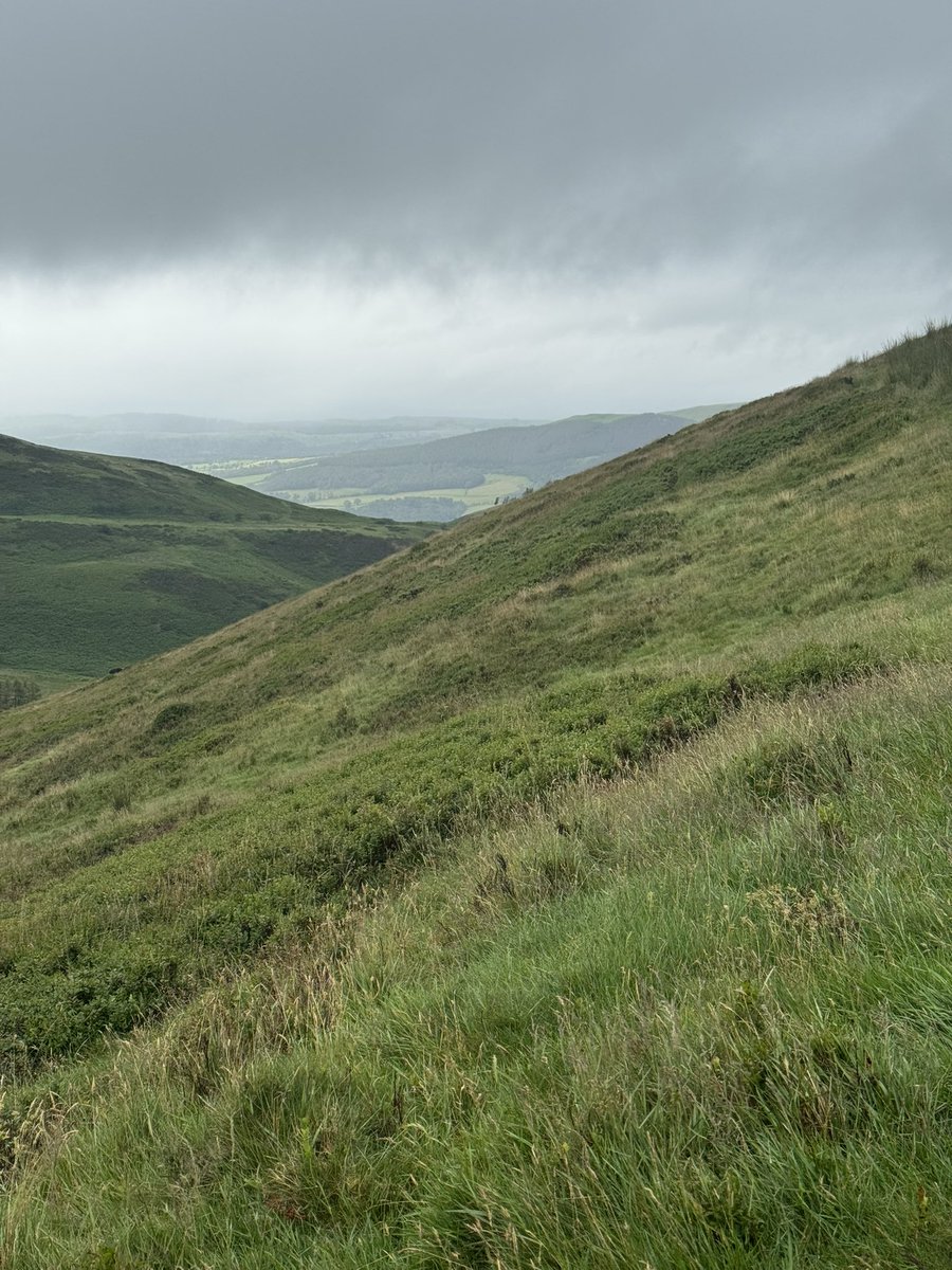 649.5 miles YTD for #nhs1000miles with a few in the #LakeDistrict this week!  Couple of Wainwright’s bagged too - Fellbarrow and Low Fell but absolutely terrible views higher up because the weather was awful!!  Also went to Tatton Park Mansion so a couple of pics from there too.