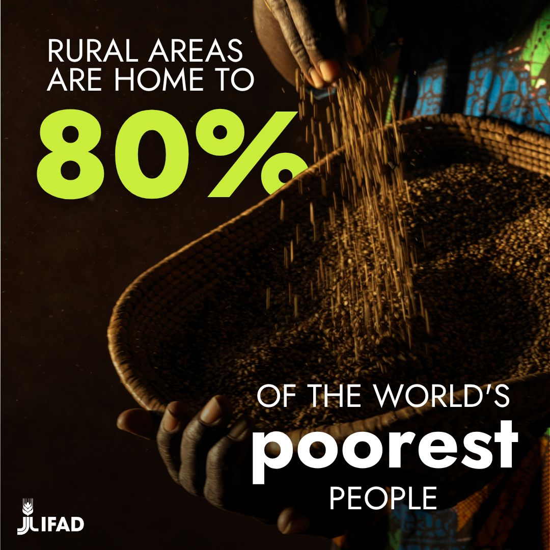 UNGeneva's tweet image. To celebrate the first-ever #RuralDevelopmentDay, here are 4 facts about rural development you (probably) didn’t know! 

#RDD #InvestInRuralPeople