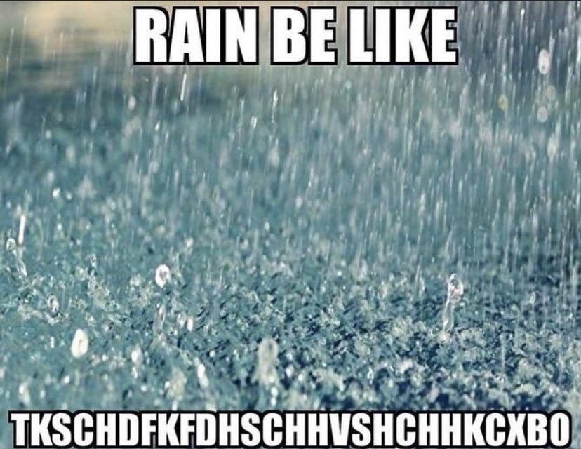 WholesomeMemes tweet media