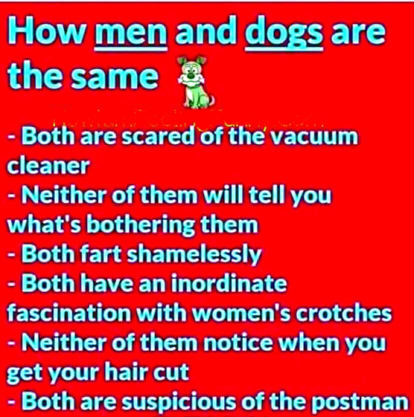 DAWN (@dawnsl44) on Twitter photo 