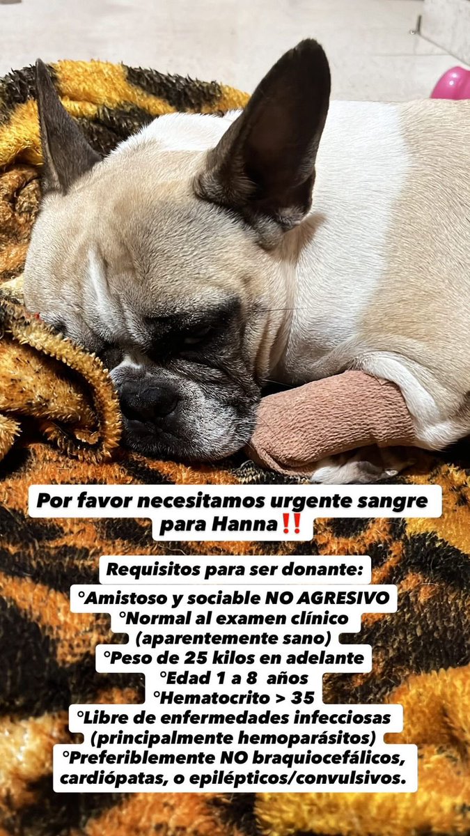 ForcadoKaren's tweet photo. Urgente 🙏🙏🙏🙏 https://t.co/7xl2lS5MuZ