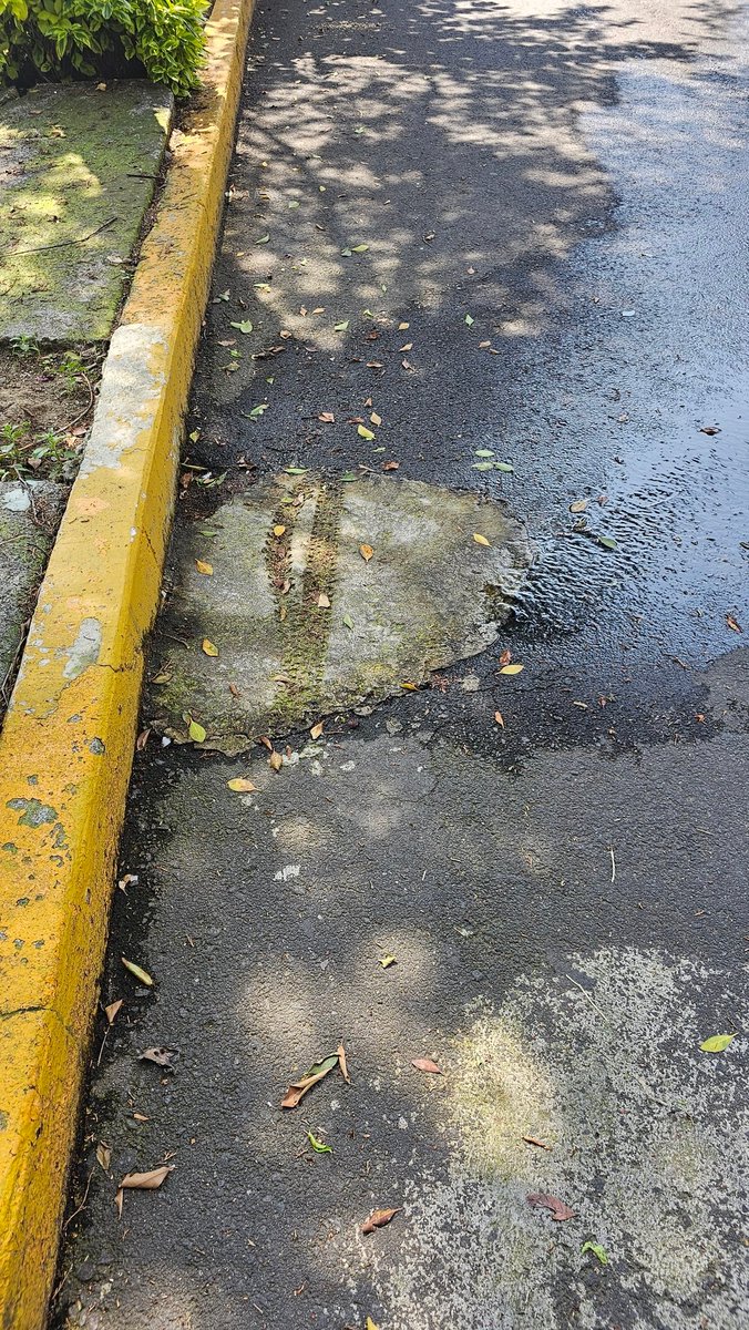 Buenos días <a href="/SEGIAGUA/">Secretaría de Gestión Integral del Agua</a> <a href="/locatel_mx/">@locatel_mx</a> <a href="/Alcaldia_Coy/">Alcaldía de Coyoacán</a> <a href="/giogutierrezag/">Giovani Gutiérrez</a> 
Tenemos una nueva fuga junto al camellón de Praderas...