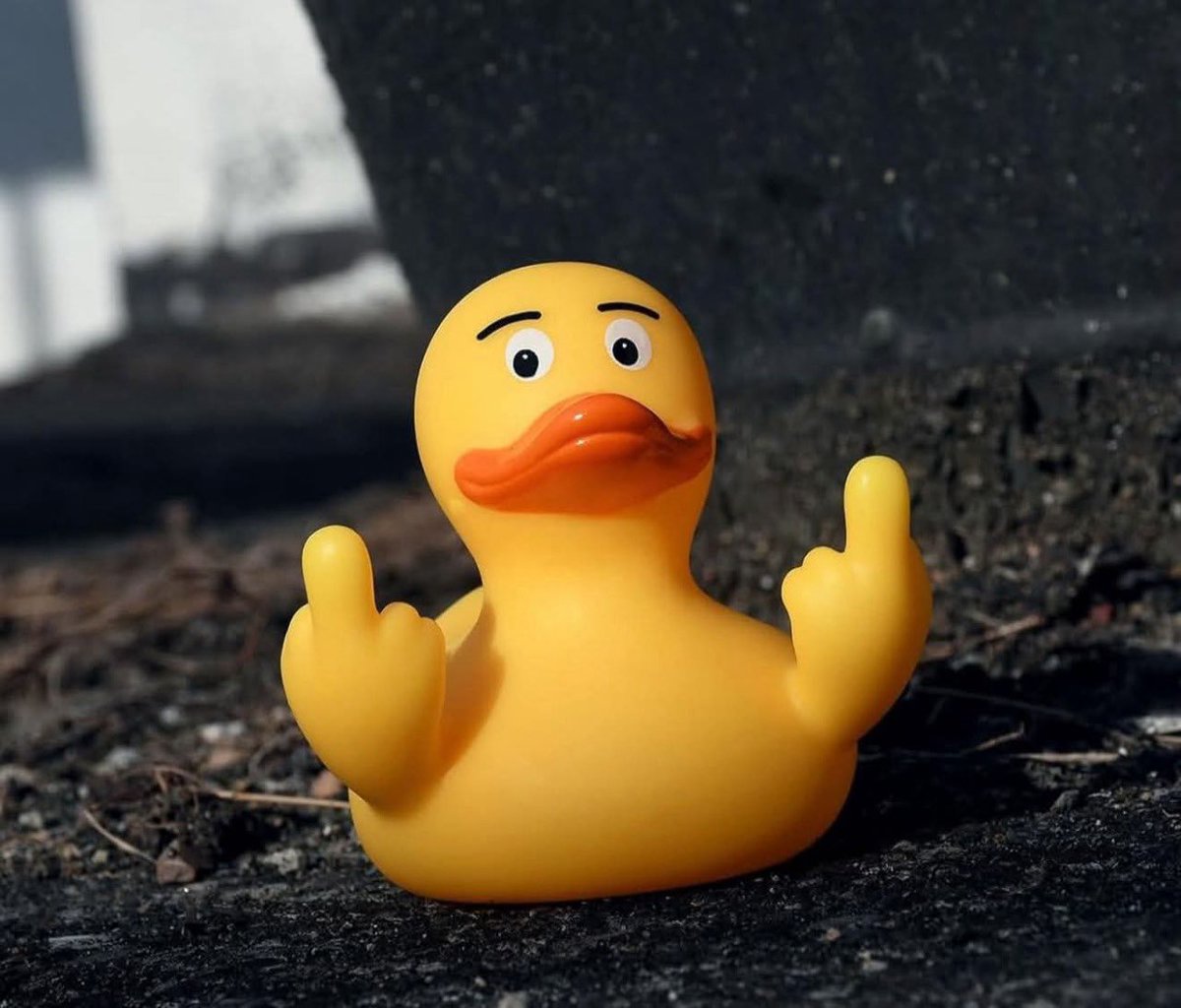 Mario Dawg tweet media