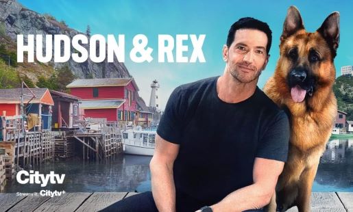 CivilizedBears.com/Hudson-Rex-Sea…

BREAKING NEWS!

"Beloved HUDSON &amp; REX returns for Season 8 with Luke Roberts (Game of Thrones, Ransom) as Detective Mark Hudson. Filming in St. John’s, Newfoundland, premiere in Fall. John Reardon won't return to series."

Mixed emotions on our TV Fave!