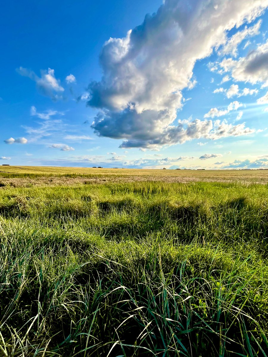 sw37xx's tweet image. Good evening, lovely people! 😊
I hope you’ve all enjoyed your weekend….
Have a peaceful evening! 💛
#NatureBeauty #NaturePhotography
