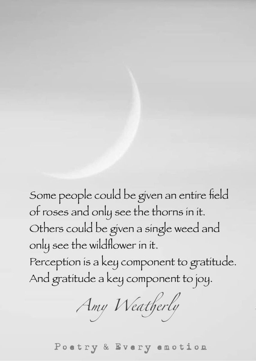 Зарим хүнд талбай дүүрэн сарнай өгсөн ч зөвхөн өргөсийг нь хардаг.
Зарим нь нэг ширхэг үр өгөхөд байгалийн цэцгийг олж хардаг.
Хүлээн авах мэдрэмж бол талархалын түлхүүр.
Талархал нь баяр баясгалангийн түлхүүр гэжээ.
СА! 🤍